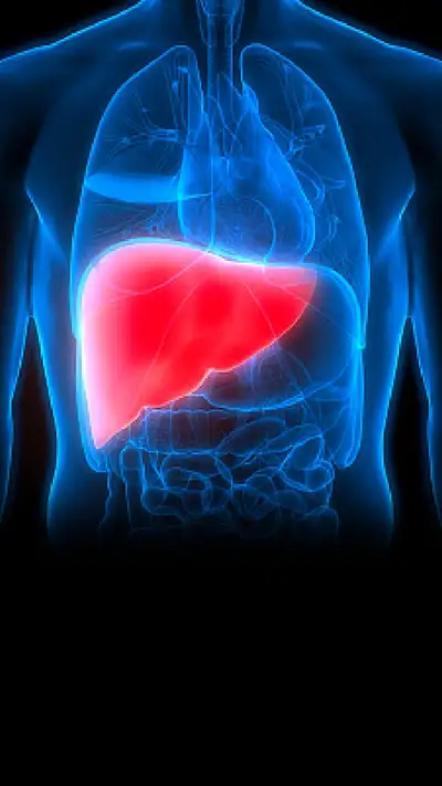 liver में फैट होने के 7 संकेत