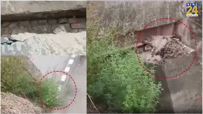 बिहार में करोड़ों का पुल ढहा  देखते ही देखते गंडक नहर के पानी में बह गया  वीडियो आया सामने
