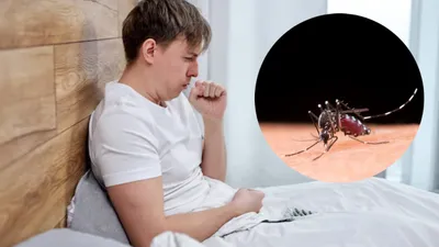 डेंगू कितने प्रकार का होता है और क्या हैं संकेत  कैसे करें बचाव