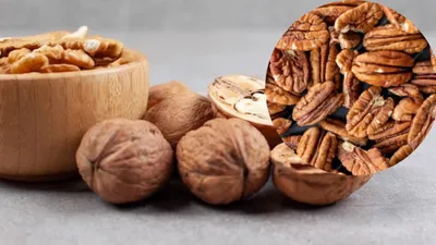 pecans vs walnuts  दोनों में क्या खास अंतर  कौन सा ड्राई फ्रूट सेहत के लिए ज्यादा फायदेमंद
