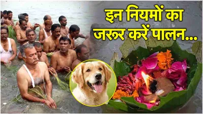 pitru paksha 2024  तर्पण करने से पहले इन 5 के लिए जरूर निकालें खाना  जानें खाने से जुड़े नियम