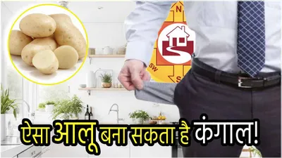 vastu shastra  आलू भी हो सकता है घर या पॉकेट में पैसा न टिकने का कारण  जानें किचन वास्तु टिप्स