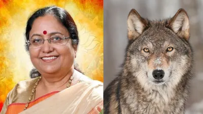 wolves attack पर यूपी की bjp मंत्री की फिसली जुबान  बोली ‘सरकार से ज्यादा चालाक हैं भेड़िये’