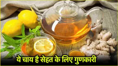 neem and ginger tea  इम्यूनिटी बूस्ट करने के लिए नीम और अदरक का ऐसे करें सेवन  जानें रेसिपी और फायदे