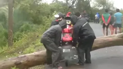 cyclone dana  16 लाख लोग बेघर  पेड़ टूटने से सड़कें ब्लॉक   जानें चक्रवाती तूफान का ओडिशा में कितना कैसा असर 