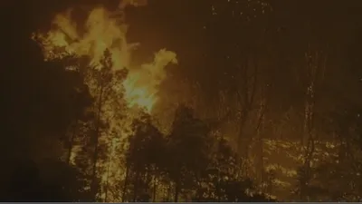 एक और प्लेन क्रैश  10000 फीट ऊंचाई से गिरा  कई लोगों के मरने की आंशका  धू धू कर जल रहा जंगल