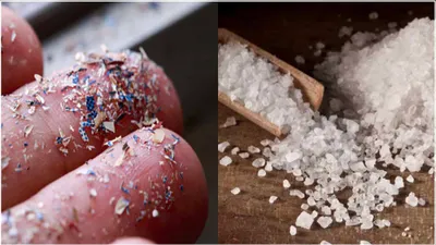 microplastic in salt and sugar  चीनी नमक में माइक्रोप्लास्टिक  क्या सेहत को होगा नुकसान  कैसे बचें इससे