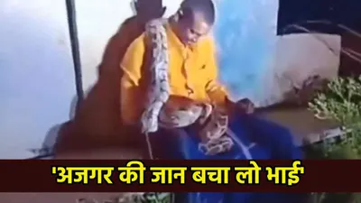 viral   शरीर से लिपटा रहा अजगर  मौज लेता रहा  शराबी   लोग बोले  सांप को बचा लो कोई