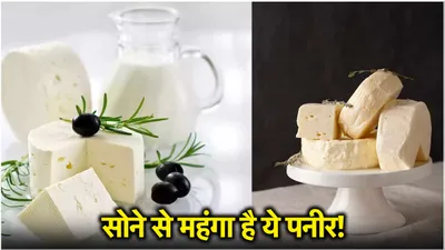 most expensive paneer  दुनिया का सबसे महंगा पनीर  दाम ऐसा कि सुन खड़े हो जाएंगे कान 