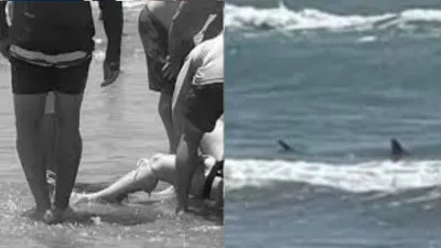 समंदर में नहाते हुए महिला पर फिश अटैक  वीडियो हुआ वायरल तो दहशत में यूजर्स