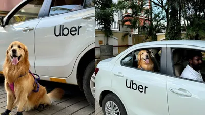 uber india ने कैब में शुरू की नई सर्विस  पालतू जानवरों के शौकीन ऐसे उठाएं फायदा