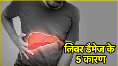 ज्यादा वजन समेत ये 5 आदतें liver को करती हैं खराब  एक्सपर्ट ने किया खुलासा