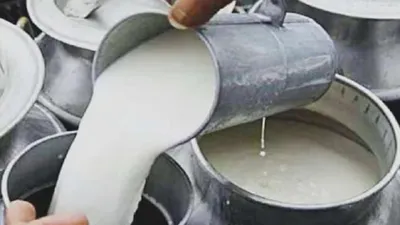 कहीं आप तो नहीं पी रहे जहरीला दूध  ऐसे करें चेक  fssai ने जारी किया video
