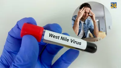 तेजी से फैल रहा west nile virus  जानिए इसके लक्षण और बचाव