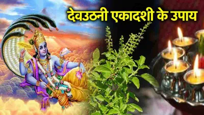 dev uthani ekadashi 2024  तुलसी के इन 5 उपायों से दूर होंगी सभी परेशानियां  बनेंगे बिगड़े काम 