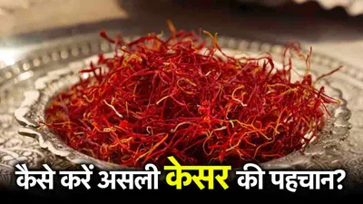 real or fake kesar  केसर असली है या नकली  घर बैठे ऐसे करें पहचान  जानें 5 तरीके