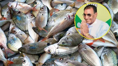 mp  मोहन सरकार की बड़ी सफलता  विश्व मछुआ दिवस से पहले दर्ज हुआ मछलियों का रिकॉर्ड कारोबार