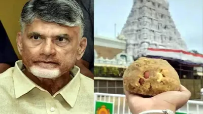 तिरुपति मंदिर के प्रसाद में मिलाया गया था बीफ और मछली का तेल  tdp के दावों के पीछे सच्चाई क्या 