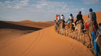 वैज्ञानिकों ने सुलझाया दुनिया के सबसे बड़े  लाल  रेगिस्तान का रहस्य  उम्र को लेकर चौंकाने वाला खुलासा