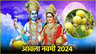 amla navami 2024  आंवला नवमी पर इस विधि से करें श्री हरि की पूजा  सभी इच्छाएं होंगी पूरी 