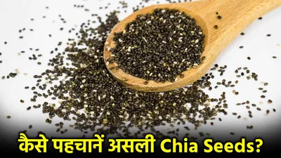 real or fake  कहीं आप तो नहीं खा रहे नकली chia seeds  इन 3 ट्रिक्स से करें असली की पहचान