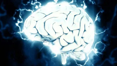 क्या पूरा ‘दिमाग’ बनाने के करीब हैं वैज्ञानिक  दुनिया का पहला 3d प्रिंटेड ब्रेन टिश्यू बनाने में मिली सफलता