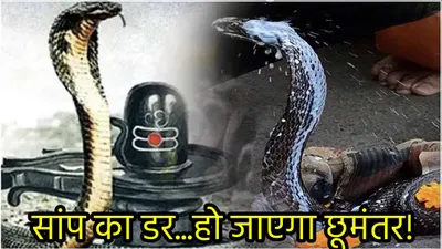 nag panchami 2024  नाग पंचमी पर करें ये 3 उपाय  दिलो दिमाग से खत्म हो जाएगा सांप का डर