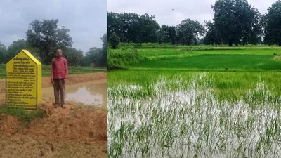 छत्तीसगढ़ के वनवासी किसान ने सूखे खेतों में लाई हरियाली  सरकारी की योजनाओं ने की खास मदद