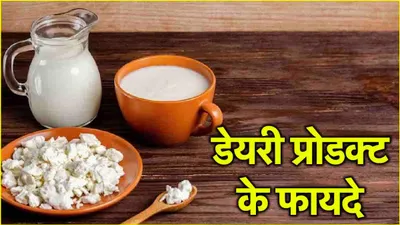 milk vs curd vs paneer  कौन सा डेयरी प्रोडक्ट ज्यादा फायदेमंद  जानिए