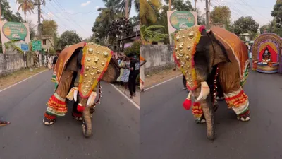 रजनीकांत के गाने पर डांस करते  हाथी  का वीडियो वायरल  सच्चाई कुछ और है 