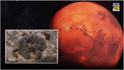 मंगल पर भी रह सकेंगे इंसान  वैज्ञान‍िकों को अंटार्कटिक में म‍िली ऐसी खास चीज  जो लाल ग्रह पर बना देगी लाइफ आसान
