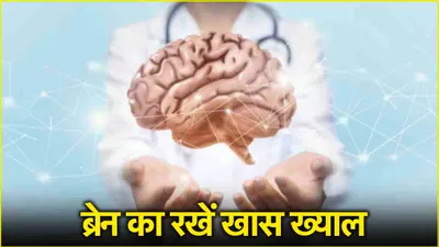 brain health tips  बढ़ती उम्र के साथ ब्रेन का रखें खास ख्याल  फॉलो करें ये 5 टिप्स  