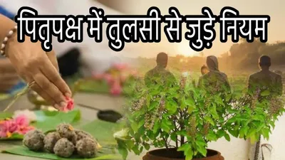 pitru paksh 2024  पितृपक्ष में न करें तुलसी से जुड़ी ये 3 गलतियां  नाराज हो सकते हैं पितर 