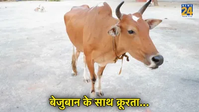 ठूंस ठूंस कर खिलाया  5 गायों ने दम तोड़ा  केरल की घटना  हिंदू संगठन भड़के