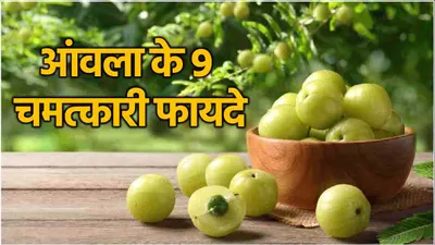 amla benefits  आंवला रोज खाने से मिलेंगे 9 जबरदस्त फायदे  किन लोगों को नहीं खाना चाहिए 