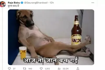 video  रिहायशी इलाके में घुसे तेंदुए ने कुत्ते पर किया हमला   लेकिन ऐसे बच गई जान  memes की आई बाढ़