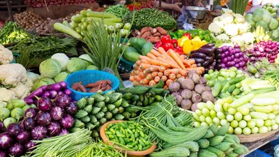 vegetable prices today  टमाटर सस्ते तो कहीं महंगी हुई हरी सब्जियां  दिल्ली  नोएडा समेत आपके यहां कितने में बिक रही सब्जी 