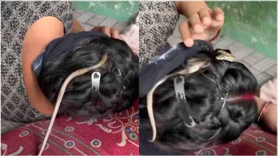 अरे बाप रे  सोती रही गई महिला और बालों में घुसा सांप  हैरान करने वाला वीडियो वायरल