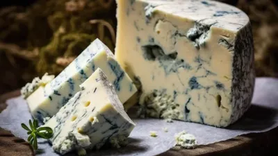 प्रोटीन से भरपूर है blue cheese  जानें खाने के 7 चौंकाने वाले फायदे