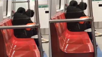 मेट्रो में मिली कोने की सीट तो काबू नहीं रख पाया कपल   चोंच लड़ाने  का वीडियो वायरल