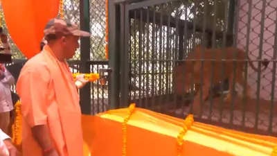 सीएम योगी ने शेर से कहा   जाओ बाड़े में और चल पड़ा जंगल का राजा  देखिए वीडियो