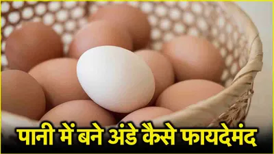 steam egg benefit  अंडे की ये रेसिपी खाने में लाजवाब  सेहत के लिए फायदेमंद