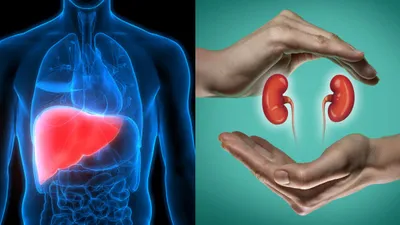 liver kidney को डिटॉक्स करती हैं सुबह की ये 5 आदतें  अपनाने से स्वस्थ रहेंगे ये अंग