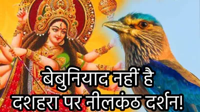 dussehra 2024  क्यों शुभ है दशहरे के दिन नीलकंठ पक्षी दर्शन  ये 5 कारण जानकर रह जाएंगे हैरान 