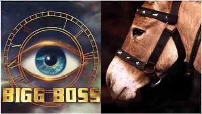 bigg boss 18 में  गधे  का खुल गया राज  कंटेस्टेंट्स के साथ जानवरों की होगी एंट्री 