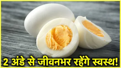 egg health benefits  रोज 2 अंडे खाने से क्या होगा  एक्सपर्ट्स से जानिए