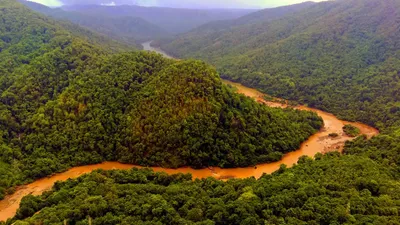 wayanad landslide के बाद केंद्र सरकार का बड़ा कदम  पश्चिमी घाट का 57000 sq km एरिया इको सेंसिटिव जोन होगा घोषित