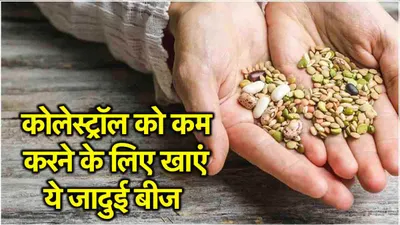 cholesterol control diet  30 दिनों में बढ़ता कोलेस्ट्रॉल होगा कम  आज से ही डाइट में शामिल करें ये 5 seeds