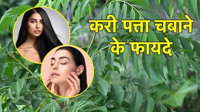 curry leaves benefits  7 दिनों तक करी पत्ता खाने के हैं 5 जबरदस्त फायदे  तीसरा जान आप भी कहेंगे  अरे वाह 