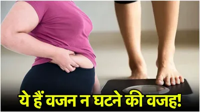 weight loss tips  लाख कोशिश के बाद भी नहीं कम हो रहा वजन  ये हो सकते हैं 7 कारण 